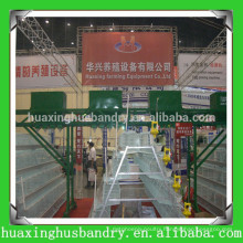 china popular and good quality poultry breeding equipment